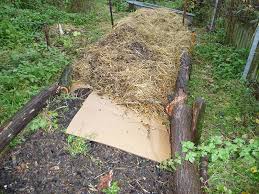 Mulchbeet Permakultur